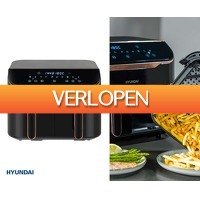 Voordeelvanger.nl: Dubbele hetelucht friteuse 8 liter