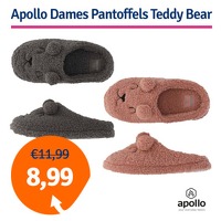 Bekijk de deal van 1dagactie.nl: Dagaanbieding Apollo Dames Pantoffels Teddy Bear (Roze of Antraciet)