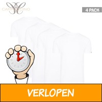 4 x T-shirts van Cappuccino