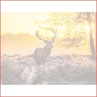 3 dagen Veluwe 4* incl. diner