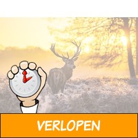 3 dagen Veluwe 4* incl. diner