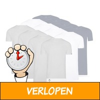 4 x extra lange T-shirts