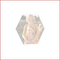 Veiling: Foto op hexagon 110 euro kortin..