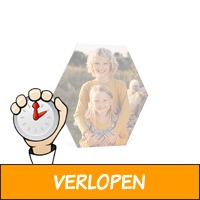 Veiling: Foto op hexagon 110 euro korting