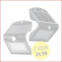 Luxe Solar Buitenlamp met Sensor