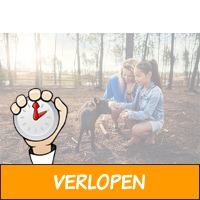 Veiling: Center Parcs: 40% korting op je verblijf