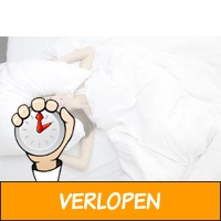 Veiling: 4-seizoenendekbed (240 x 220 cm)