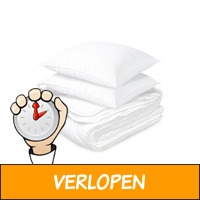 Veiling: All season dekbed + 2 kussens