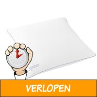 Signature Hoofdkussen - Eendenveren - 60 x 60 cm - wit