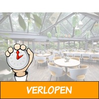 Verblijf in een 4*-hotel op de prachtige Veluwe in Huls..