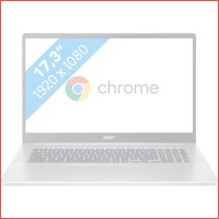 Acer Chromebook 317 CB317-1H-C1SE