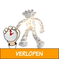 Pluche Giraffe Knuffel met Oplaadbaar lampje - USB - 30..