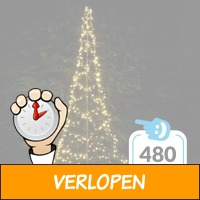 Vlaggenmast Kerstboom 300cm warmwit - 480 leds