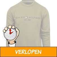 Tommy Hilfiger sweater