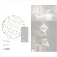 FlinQ Smart lichtbol