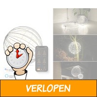 FlinQ Smart lichtbol