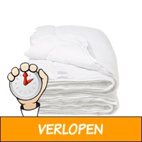 Nature Clean 4-seizoenen Dekbed - Microvezel