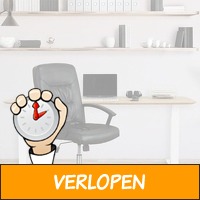 Ergonomische bureaustoel