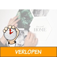 Veiling: Foto op hexagon 110 euro korting