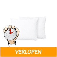 Veiling: 2 Donsulette hoofdkussens