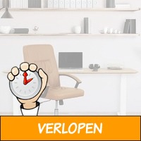 Ergonomische bureaustoel