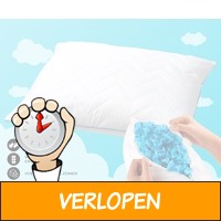 Aanpasbaar CloudComfort Pillow