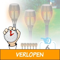 Set van 6 Grundig Flame Effect tuinfakkels