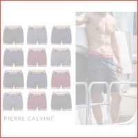 12 x Pierre Calvini boxershorts