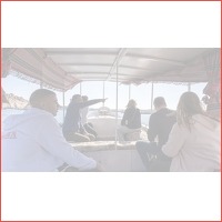 15 daagse Cairo - Nijlcruise - Rode Zee