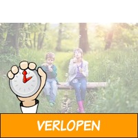 Veiling: Voorjaar op een Oostappen Vakantiepark (4 - 6 ..