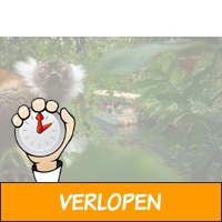 Veiling: WILDLANDS Adventure Zoo Emmen tickets - 2 pers..