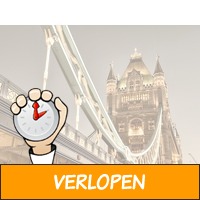 Ontdek Londen tijdens deze stedentrip