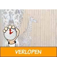 Veiling: WILDLANDS Adventure Zoo Emmen tickets