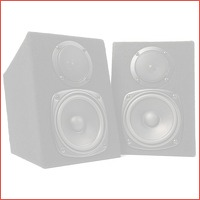 Fenton DMS40 Passieve DJ monitor speaker..