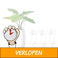 6 x waterdruppelaar