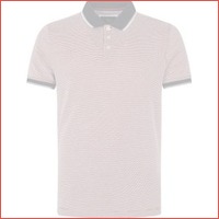 Suitable Oxford polo