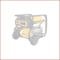 DeWalt benzine stroomgenerator DXGNP30E