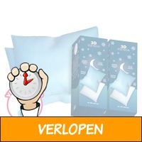 2 x Verkoelend hoofdkussen Icetech