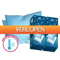 Voordeelvanger.nl: 2 x Verkoelend hoofdkussen Icetech
