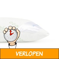 Veiling: Traagschuim hoofdkussens van Sleep Sense (2 st..