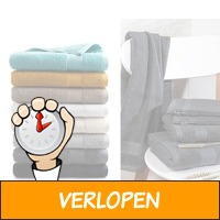 6 x DoubleDry Hotel Collection handdoeken