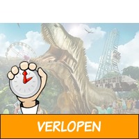 Veiling: Bobbejaanland tickets voor 2 personen