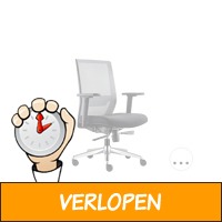 Bens 850-Ergo-3 bureaustoel