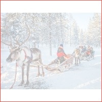 8-daagse winterreis naar Fins Lapland