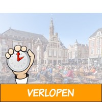 Verblijf in het sfeervolle Haarlem