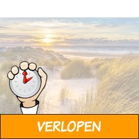 3 dagen incl. Schiermonnikoog en diner