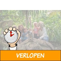 Veiling: WILDLANDS Adventure Zoo Emmen