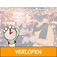 2, 3 of 4 dagen in het sfeervolle Haarlem