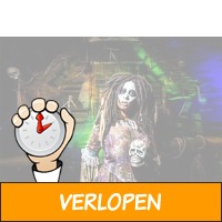 Veiling: Halloween Fright Nights tickets voor 2 persone..