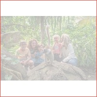 Veiling: WILDLANDS Adventure Zoo Emmen t..